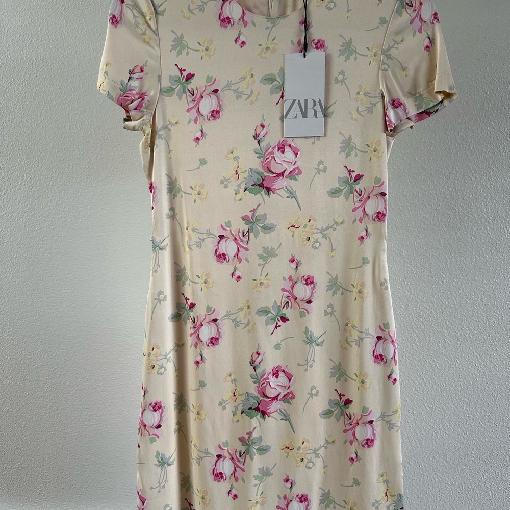 Zara Pink and Cream Floral Mini Dress